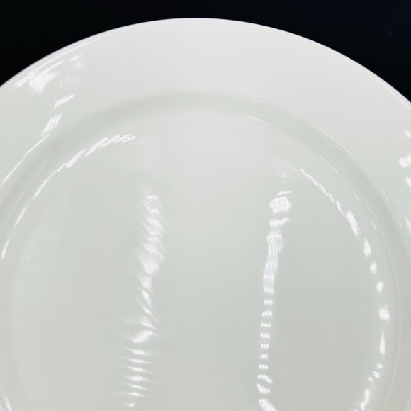 Homer Laughlin 11 3/4" Pristine Undecorated Plate Solid White Restaurant Ware - Picture 2 of 7